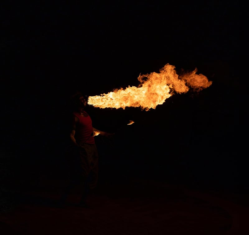 Dragon Taming Performance